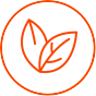 Environmentally Friendly Icon